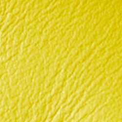 Canary Yellow