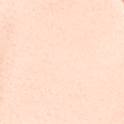 Ballet Pink