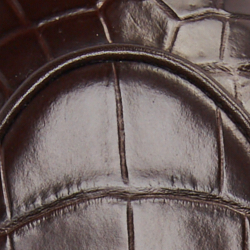 Luggage Brown