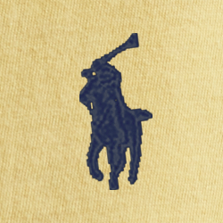 Corn Yellow