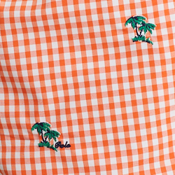 Sailing Orange