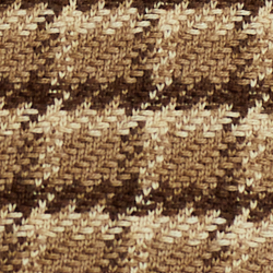 Camel Multi