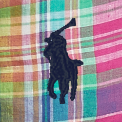 Plaid Multi