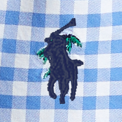 Palm Tree Aoe