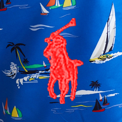 Race To Sea