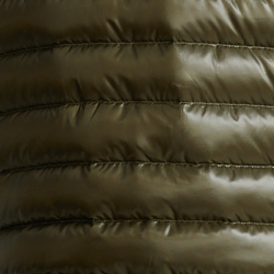Canopy Olive