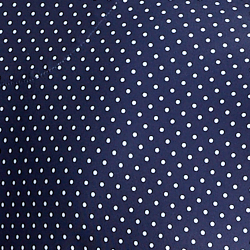 Navy Preppy Dot