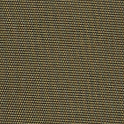 Basic Olive