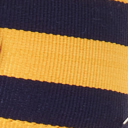 Yellow Gold/Refined Navy