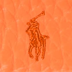 Sailing Orange