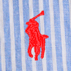 블루/화이트