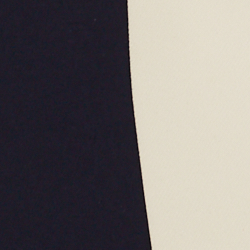Refined Navy
