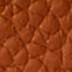 Hyannis Port Orange/Tan