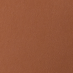 Lauren Tan/Monarch Orange