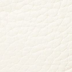 Vanilla/Parchment/Buff