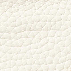 Vanilla/Parchment/Buff