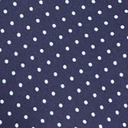 Navy Preppy Dot