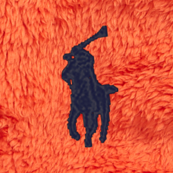 College Orange