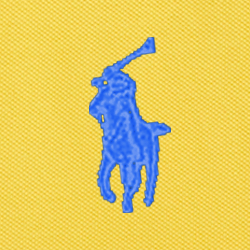 Coastal Yellow