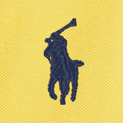 Coastal Yellow
