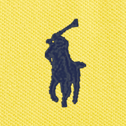 Coastal Yellow