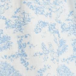 Blue Toile