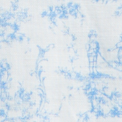 Blue Toile