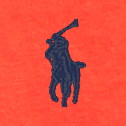 Cruise Navy