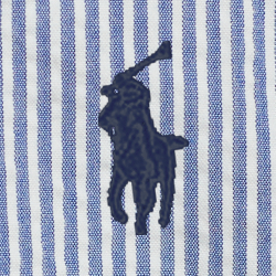 Blue/White