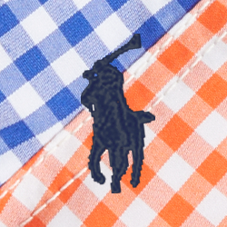 Gingham Multi