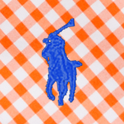 Gingham Multi