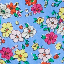 Blue Multi