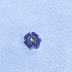 Office Blue