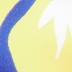 Logo Tropical