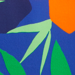 Logo Tropical