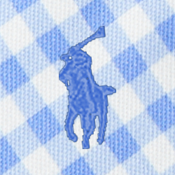 Spring Gingham/Blue