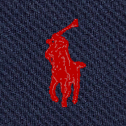 Cruise Navy