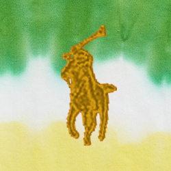 Active Yellow Multi