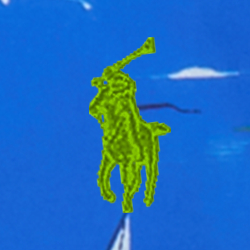Race The Sea Royal