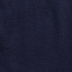 Cruise Navy