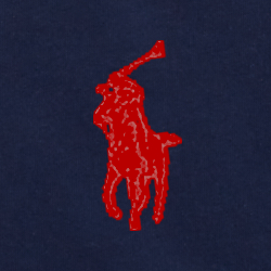 Cruise Navy