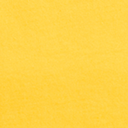 Racing Yellow