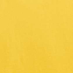 Racing Yellow