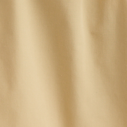 Pale Parchment