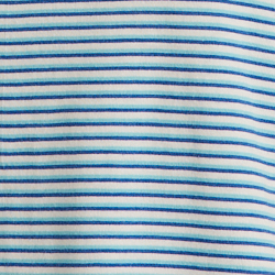 Blue Stripe