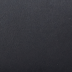 Lauren Navy/Lauren Tan