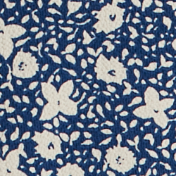 Blue/Cream
