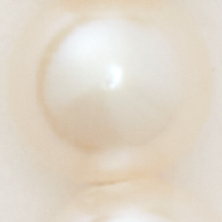 Silver/Fresh Water Pearl