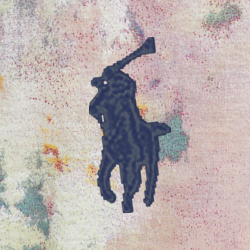 Painted Multi