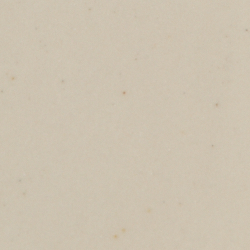 Bone